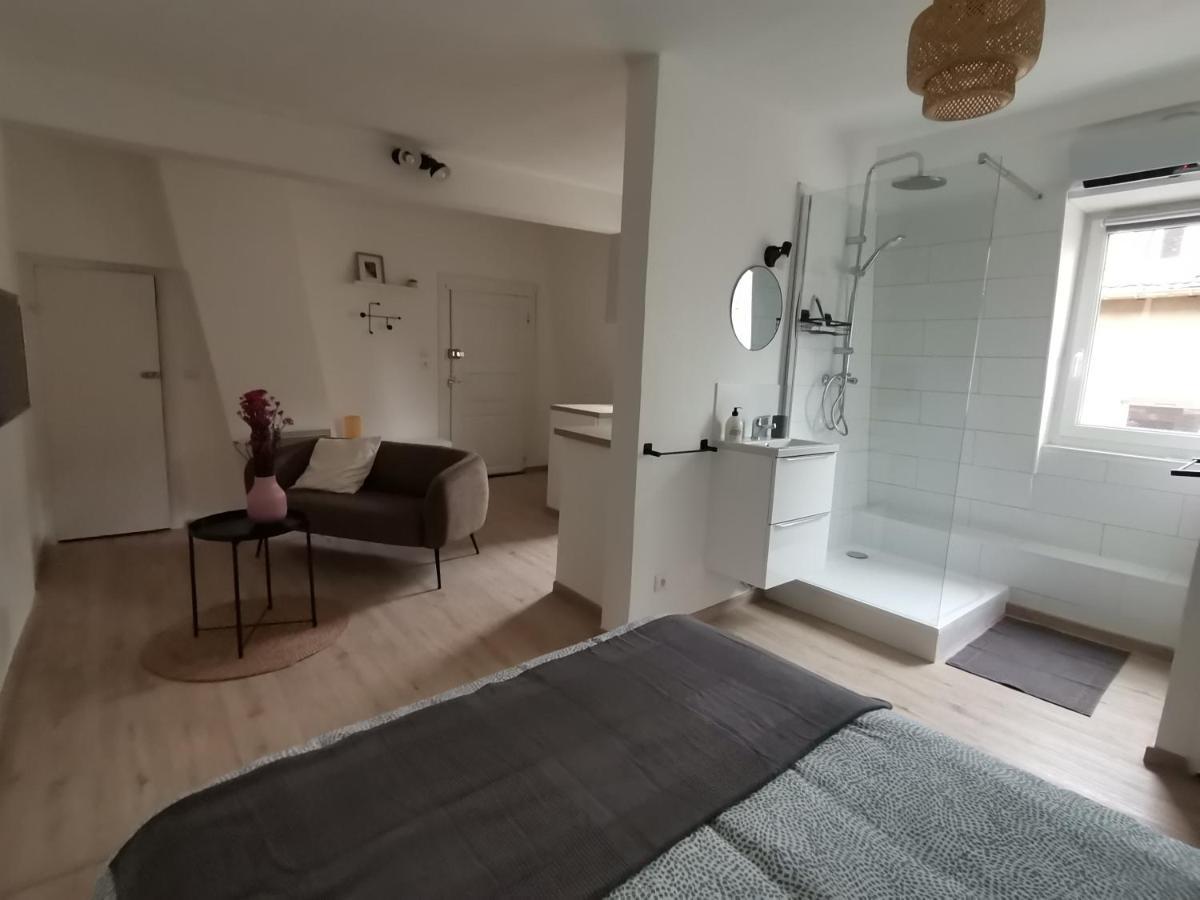 Toi Mon Toit Apartment Colmar Luaran gambar