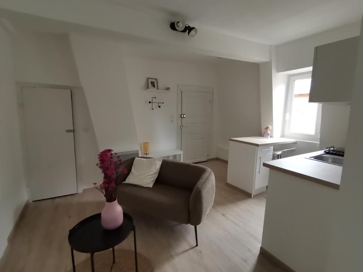 Toi Mon Toit Apartment Colmar Luaran gambar